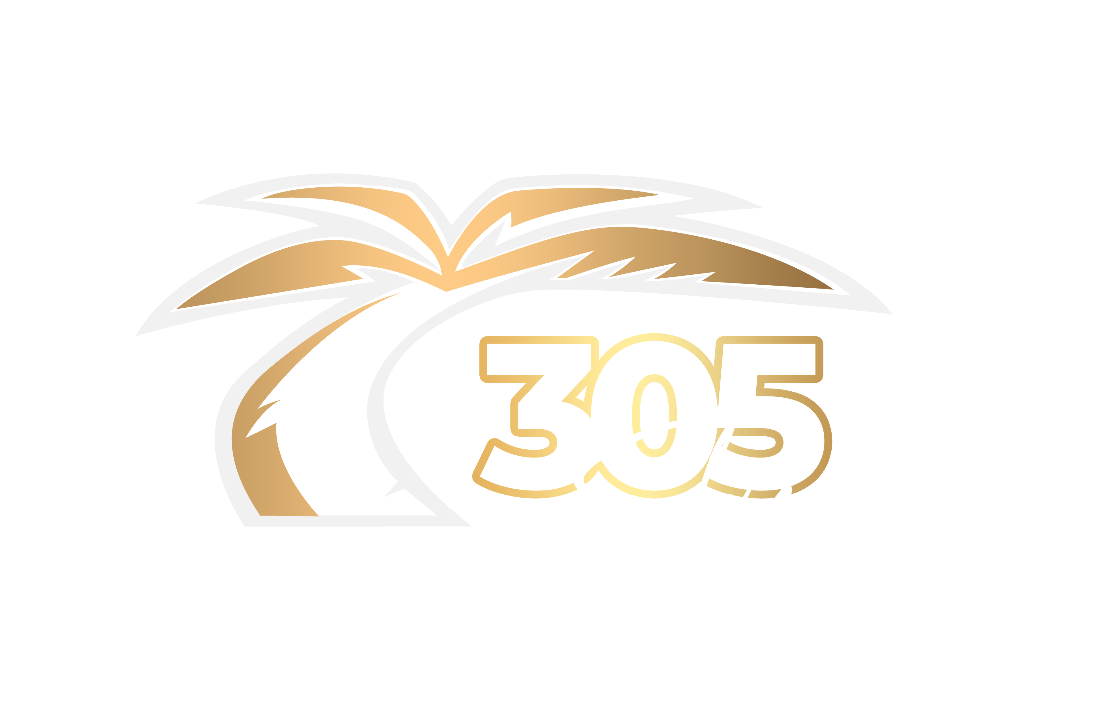 305 Sky logo